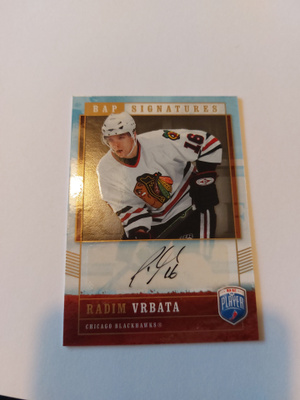 2006-07 Be A Player Signatures #RV Radim Vrbata