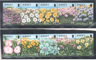 Jersey 1995 kukkia postituoreena
