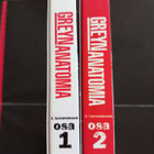 Greyn anatomia kausi 2 dvd - pikkukuva 2