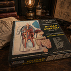 Renwal “Human Anatomy” Assembly Kit – Yhdysvallat, 1950–1960 - pikkukuva 1