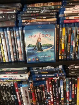 The Shallows