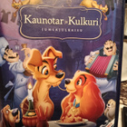 Kaunotar ja Kulkuri - pikkukuva 1