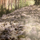 HARJUJEN HAUSJÄRVI - Kotiseutukirja 1 - pikkukuva 2