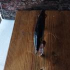 Rapala Floating 6,5cm - pikkukuva 3