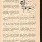 Pääskynen 11-12/1925 - pikkukuva 2