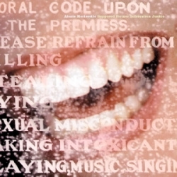 Alanis Morissette - Supposed Former Infatuation Junkie (CD)