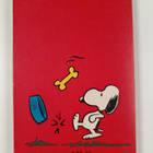 Charles M. Schulz : Kyllä sinä pärjäät, Jaska Jokunen - pikkukuva 2