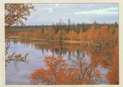 Postikortti: Sodankylän Petkula