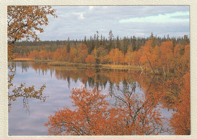 Postikortti: Sodankylän Petkula