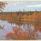Postikortti: Sodankylän Petkula - pikkukuva 1