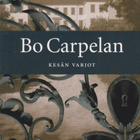 Bo Carpelan: Kesän varjot - pikkukuva 1