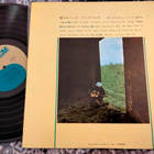 Hank Williams LP - pikkukuva 2