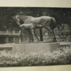 Helsinki, "Äidinrakkaus"-patsas, valokuvapk, p. 1955 - pikkukuva 1