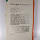 Briitta Simpson : Unelmajunalla Meksikoon - pikkukuva 2
