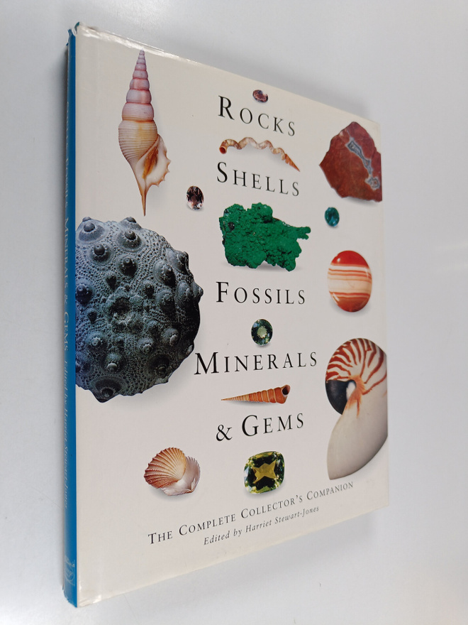 Harriet Stewart-Jones : Rocks, Shells, Fossils, Minerals ...
