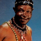 MAHLATHINI :: THE LION OF SOWETO :: VINYYLI LP 1987 - pikkukuva 5