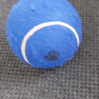 Koiran iso pallo noin 15 cm halkaisija - pikkukuva 5