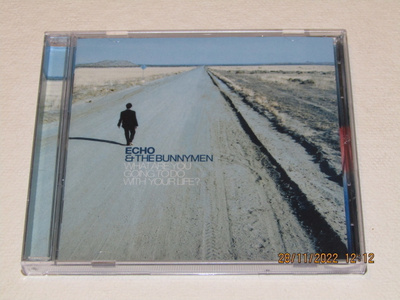 *CD* ECHO & THE BUNNYMEN What Are You Going To Do With...