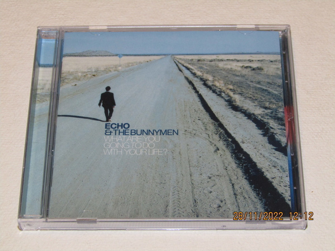 *CD* ECHO & THE BUNNYMEN What Are You Going To Do With...
