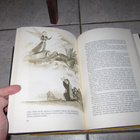 Kultainen aarreaitta - Juutalaisia tarinoita - 1.p.1972 - pikkukuva 4