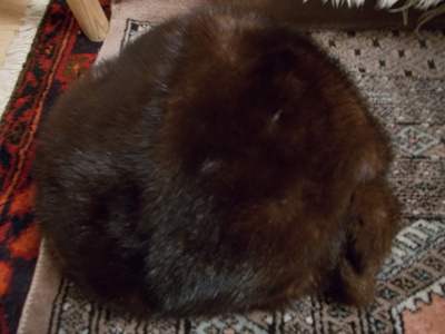 MINKKIKARVAHATTU