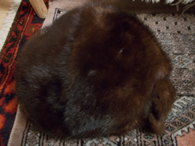 MINKKIKARVAHATTU