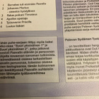 OUTI CAPPEL: SUURI YKSINÄINEN 3 - pikkukuva 2