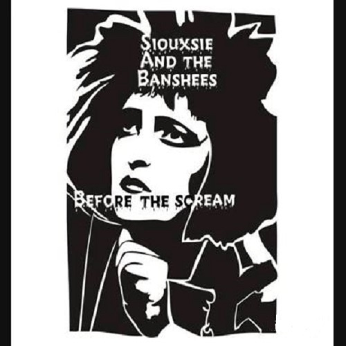 SIOUXSIE & THE BANSHEES before the scream 1977/78