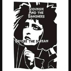 SIOUXSIE & THE BANSHEES before the scream 1977/78 - pikkukuva 1
