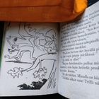 Huolettomat Pesukarhut - pikkukuva 5