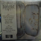 BLUTSCHREI - VOICE OF FORBIDDEN PRIDE. GER -2007. EX+/M-  LP - pikkukuva 2