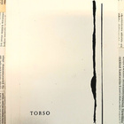 Erkka Filander - Torso (nid.) - pikkukuva 1