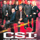 CSI kausi 3 - (6 disc)  DVD boxi  [Uusi. muoveissa] - pikkukuva 1