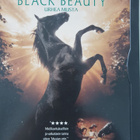 BLACK BEAUTY URHEA MUSTA DVD - pikkukuva 1