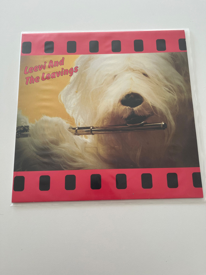 Leevi and the Leavings
