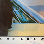 Bruce Springsteen - TUNNEL OF LOVE (LP) - pikkukuva 5