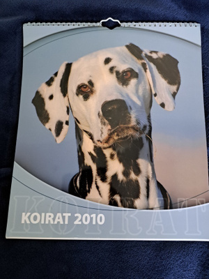 Koirat 2010 seinäkalenteri
