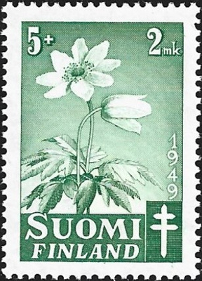 1949 TUB merkki Valkovuokko 5 + 2 mk ** LaPe 365