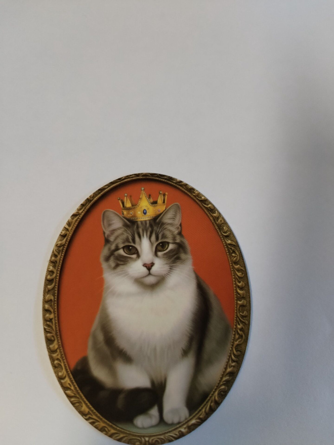 Kissa tarra.