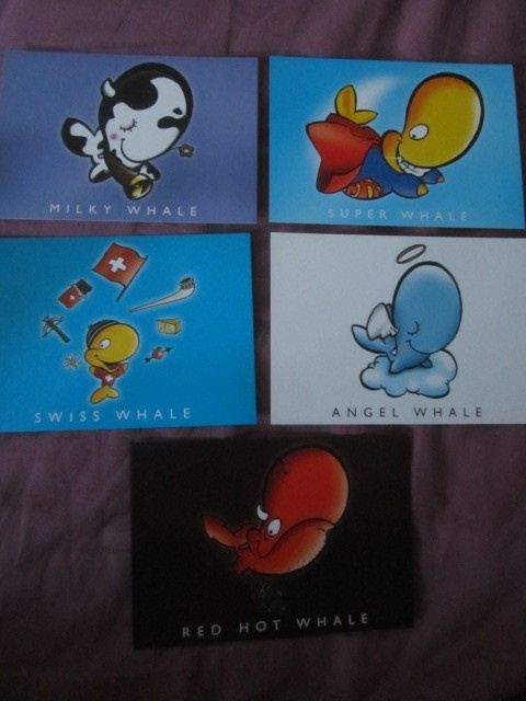 Whale Kortit 5 erilaista