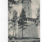 Hämeenlinna / Aulanko: torni (postitettu 1907) - pikkukuva 1