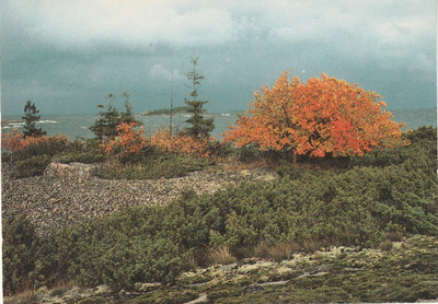 Postikortti, PERNAJA, Åspskäri