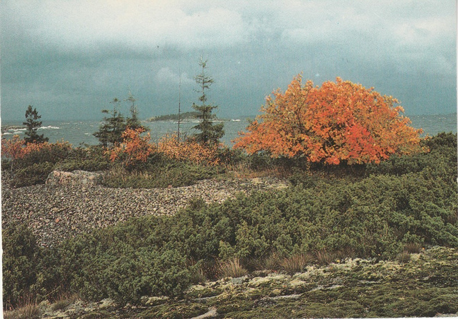 Postikortti, PERNAJA, Åspskäri