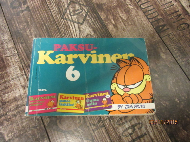 Paksu-Karvinen 6 (1998)