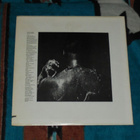 MUDDY WATERS ~ After The Rain ~ LP - pikkukuva 2