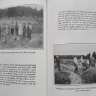 Maininkeja Velkuan saaristokunnasta - pikkukuva 3