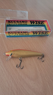 Kuusamo Wise- vaappu, 1990- luvun