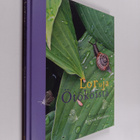 Elina Kynsijärvi : Loruja ötököistä (signeerattu) - pikkukuva 1