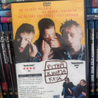 Pitkä Kuuma Kesä (1999) Toni Virtanen - pikkukuva 1