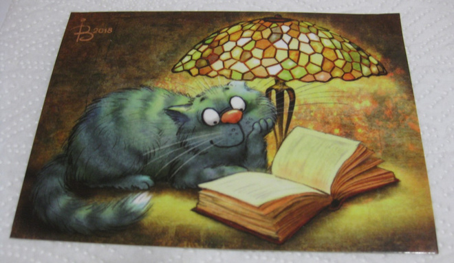 Lamp, Irina Zeniuk, kulkenut